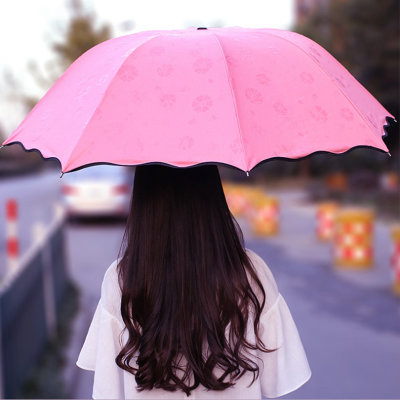 乾越遇水开花雨伞防晒黑胶防紫外线晴雨两用三折叠太阳伞女士遮阳伞(玫瑰红)