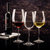 RONA 洛娜进口无铅水晶玻璃玛哥朗高脚杯 红酒杯 3种容量 1只装(透明色 850ml)第3张高清大图