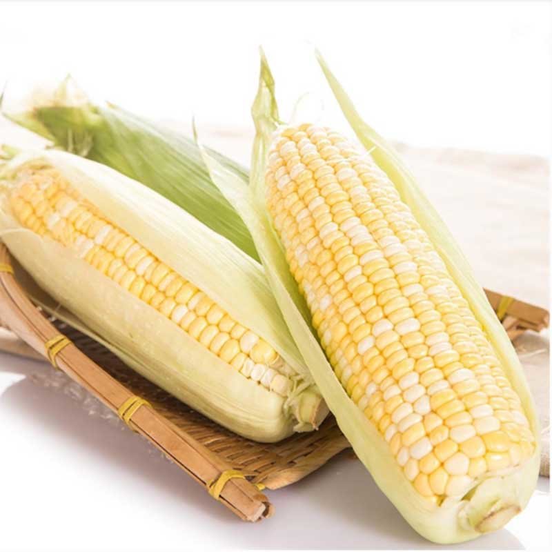 新鲜水果玉米3斤5斤带皮新鲜蔬菜3斤