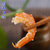 淡干虾仁干金钩大号海虾干干货干虾仁对虾即食开洋海鲜(500g)第5张高清大图
