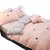 安居先森 D1387双人床单 40支纱高支高密全棉印花单件活性印染粉色第2张高清大图