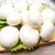 现采现发 新鲜双孢菇口蘑白蘑菇食用菌煲汤烧烤天然绿色蔬菜蘑菇(精选250g)第6张高清大图
