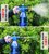 市下汽车贴膜喷壶手动气压式浇花园艺家用喷雾器园艺家用洒水壶(蓝色1.2升)第3张高清大图