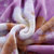 布璐 秋冬季加厚拉舍尔毛毯 印花云盖毯 7斤双人毯子绒毯(紫色花韵)第4张高清大图