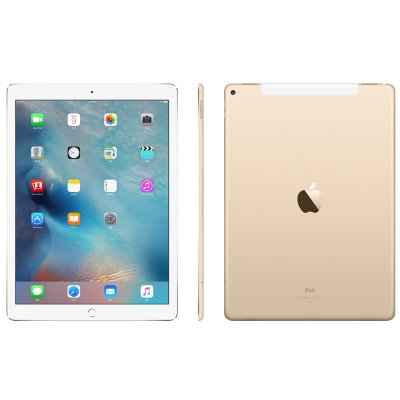 Apple iPad Air 2 平板电脑（16G金色 WiFi版）MH0W2CH/A