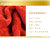 京冠(JINGGUAN)“红”运当头纯棉素色提花枕巾礼盒两条装(纯棉素色提花)第5张高清大图
