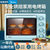 美的电烤箱25L小型家用多功能上下独立温控均匀烘烤烤箱PT2531(PT2531)第3张高清大图