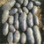 【农家露天种植黑土豆】新鲜黑土豆紫色土豆 3斤包邮 约9-15个 现挖再发 非转基因蔬菜第5张高清大图