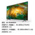 预售 索尼（SONY）KD-85X8000H 85英寸4K超高清 HDR智能语音 安卓9.0液晶电视(黑 85英寸)第2张高清大图