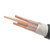 率龙电线电缆SL74国标电缆电线YJV3*16+1*10（单位：米）(默认)第3张高清大图