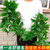仿真藤条绿萝叶装饰假树叶绿藤藤蔓塑料暖气水管道遮挡空调缠绕花(99片花色万年青一包（2条）)第3张高清大图