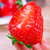 甘福园丹东牛奶草莓(大果)第4张高清大图