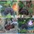 水车风车轮鱼缸吸水石假山流水喷泉摆件庭院园艺景观造景配件塑料第2张高清大图