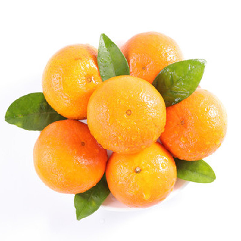 广西正宗沃柑超甜沃柑橘桔子新鲜水果整箱精选广西沃柑8斤装单果70mm