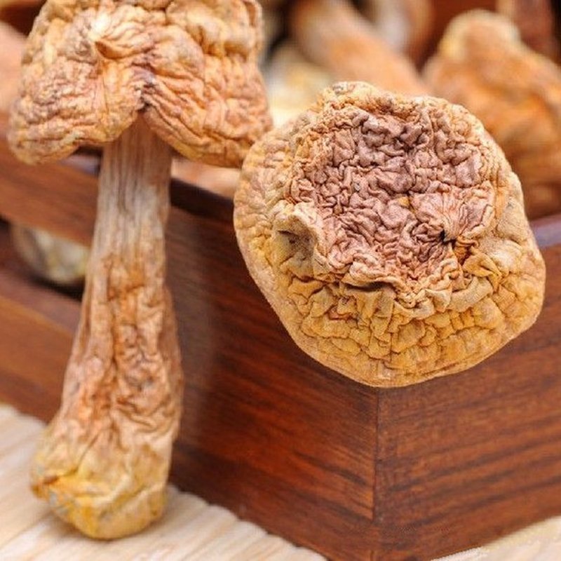 赤松茸干货甘肃特产雪山松茸干片姬松茸新鲜松茸菌羊肚菌松茸干片一盒