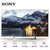 索尼（SONY）KD-55X9000E 55英寸4K HDR 精锐光控Pro 智能液晶电视（银色）第6张高清大图