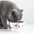 宠物陶瓷碗可爱猫碗高脚陶瓷猫粮碗水碗宠物碗防颈椎病猫食盆防翻(胖猫系列随机)第4张高清大图