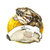 安普奥品牌鲜活乳山生蚝牡蛎来自北纬37度山东海域自然牧场2.4千克装亲民级别50-100g每只海中牛奶第3张高清大图