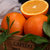四川金堂脐橙 脐橙 5-9斤装 新鲜水果 脐橙 橙子 非秭归脐橙 生鲜(9斤)第3张高清大图