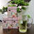 蜜桃乌龙 （三角茶包）白桃绿茶水果冷泡花果茶包水果茶茶袋茶包第3张高清大图