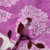 樵纪 云貂绒毛巾毯子 床褥垫 午睡空调盖毯(紫树)第5张高清大图