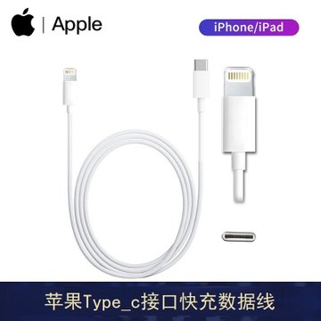 Apple苹果30W原装充电器iPhone11 Pro/iPad手机30W快充电头 数据线 USB-C电源适配器(数据线1米)