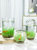 9.8元2个生态小鱼缸微景观四季水培植物草种子玻璃插花瓶创意摆件(中等)第4张高清大图