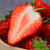 红颜草莓 奶油草莓 大凉山露天草莓 新鲜水果(净重约5斤装)第2张高清大图