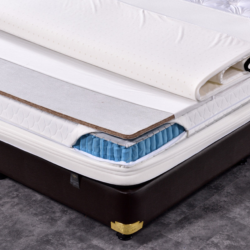 8米2m星级酒店公寓宿舍双人整网弹簧海马自由睡感床垫(120*190*28