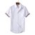 TB衬衫夏季潮牌短袖上衣纯棉男女同款情侣款气质条纹半袖白衬衣(白色 L)第5张高清大图