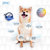 JPHC 爱犬用健肠益生素 配方升级版100g(配方升级版100g)第3张高清大图
