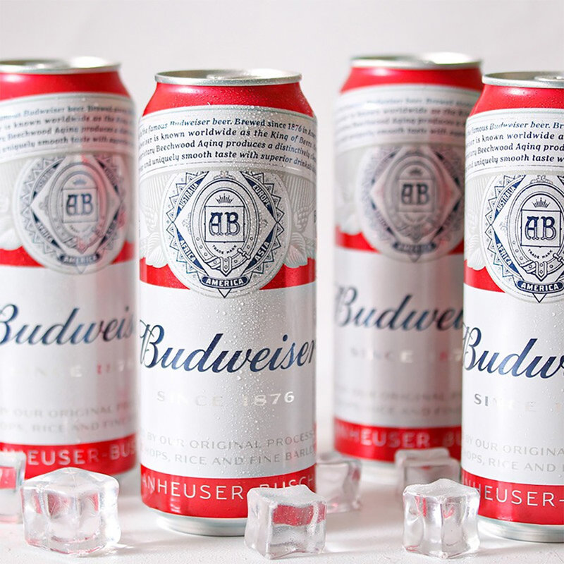 百威听装啤酒500ml火锅食材