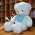泰迪熊猫毛绒玩具公仔玩偶布娃娃抱抱熊女生大号女孩大型睡觉喜欢(肥版冰心领结熊-蓝色 80厘米)第3张高清大图