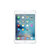 Apple iPad mini 4 平板电脑(银色 wifi版)第2张高清大图
