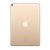 Apple iPad Pro 10.5英寸平板电脑(金色)第3张高清大图