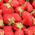 新鲜红颜草莓 现摘先发丹东99奶油大草莓 当季农家孕妇水果精选大果3斤装(4盒大果(单果13g左右)60枚)第2张高清大图