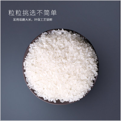 商博士 黑龙江 鲜香米 正宗东北香米 大米 天然香米 2019年新米 5kg/袋（新疆西藏青海不发货）