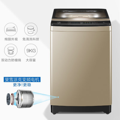 海尔波轮洗衣机全自动免清洗 双动力9公斤家用大容量直驱变频静音电机 9kg