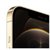 Apple 苹果12 iPhone 12 Pro Max 5G 手机(金色)第5张高清大图
