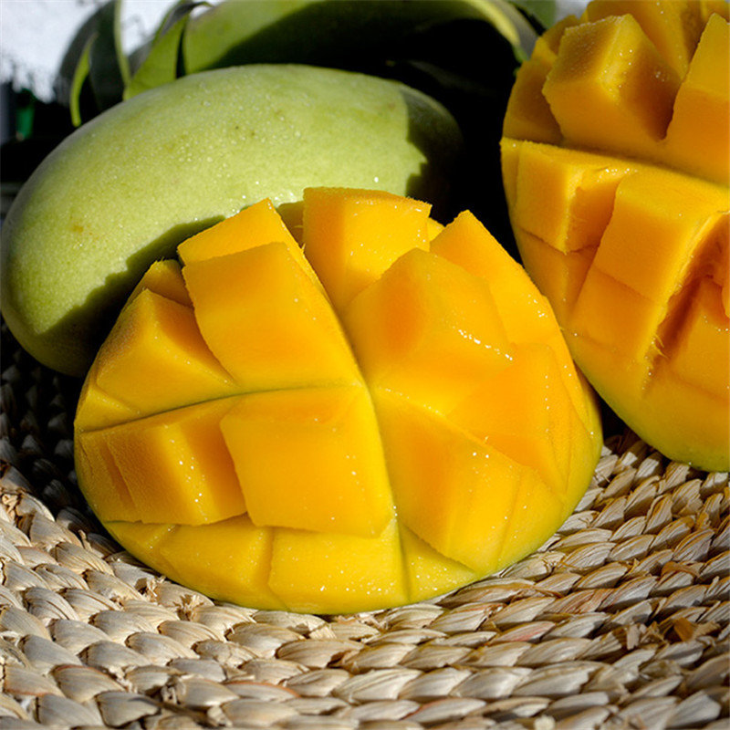越南玉芒芒果青芒果3斤5斤装单果200g以上酸甜可口催熟再吃哦1