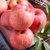 山东烟台红富士苹果 4.5-5斤  80mm-85mm 大果第6张高清大图