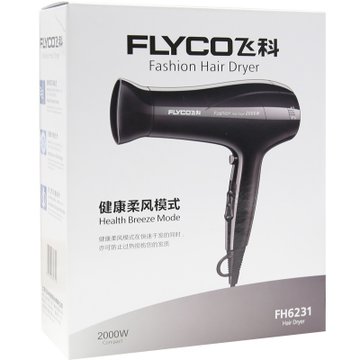 飞科（FLYCO） 电吹风机家用大功率可折叠冷热调节吹风筒 FH6231(黑色)
