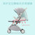 天瑞婴儿推车超轻便携可坐可躺折叠迷你儿童车宝宝bb手推车婴儿车(深紫)第2张高清大图