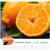 丑橘不知火3-9斤 新鲜水果 四川浦江丑橘不知火 柑橘 桔子 生鲜(5斤装)第5张高清大图