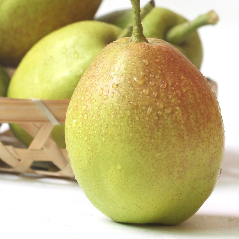 净重5斤勒至勒宝正宗新疆库尔勒香梨单果120克左右特级果水果礼盒装