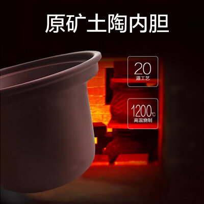 苏泊尔（SUPOR）电炖锅DG50YC806 智能预约 家用多功能煮粥煲汤炖肉电炖盅 5L大容量