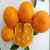 深山农特 纽贺尔脐橙 纽贺尔非17.5度脆甜橙 （坏果包赔）(大果65-80)(大果)(中果)第2张高清大图