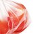 宜洁 食品家用保鲜袋一次性点断式大中小号新疆西藏青海 港澳台海外不发货(大号25cmx35cm120只)第2张高清大图