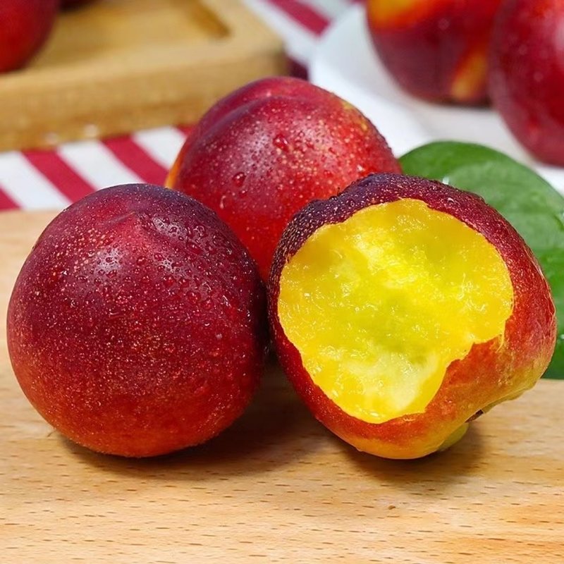 山东当季现摘5斤装红油桃香甜多汁