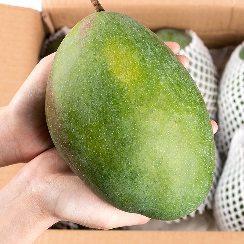 攀枝花凯特大芒果5斤装单果300g500g新鲜水果